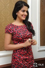Vishaka Singh at Rowdy Fellow Movie Success Meet
